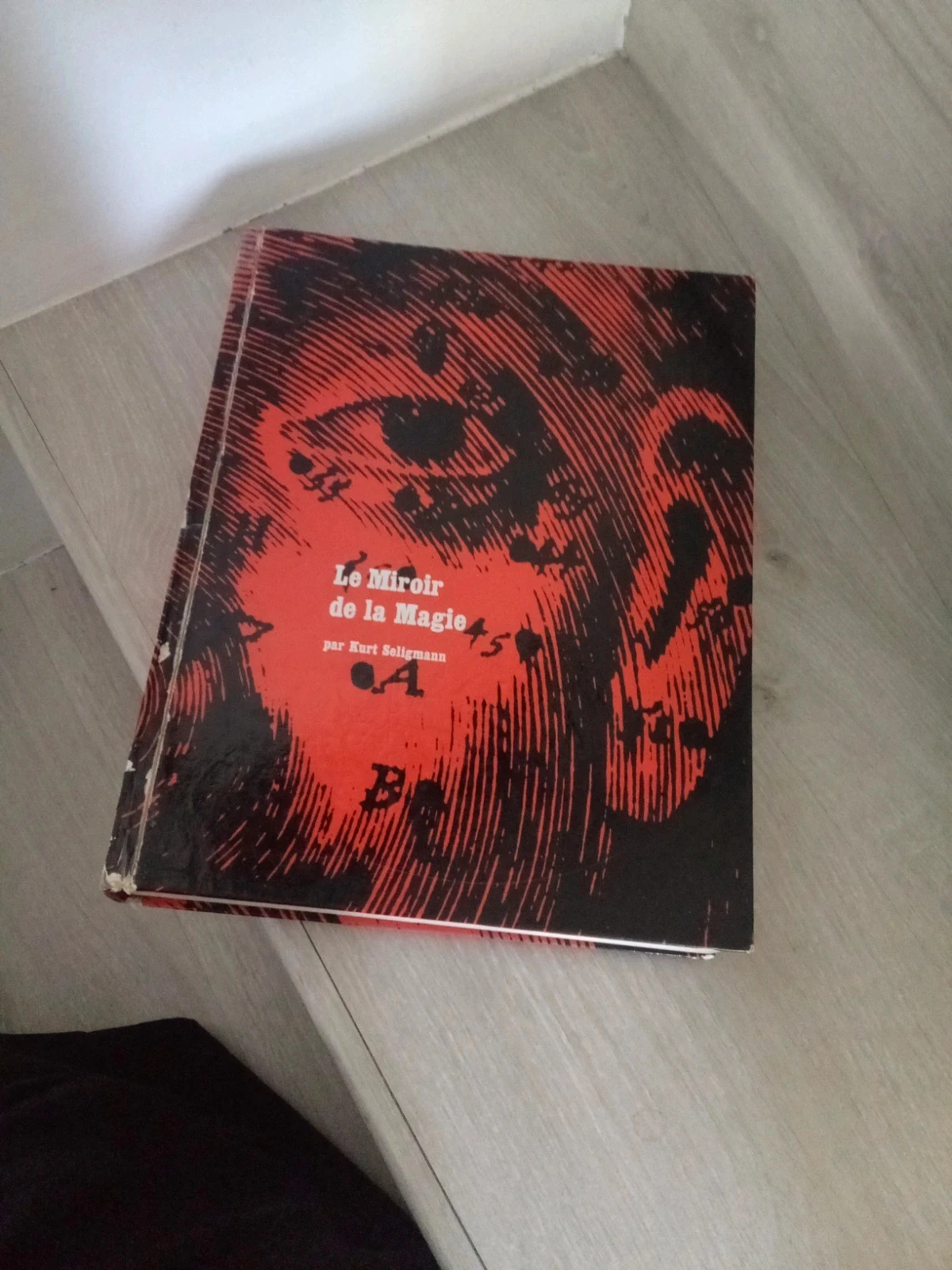 Livre Le miroir de la magie – photo 3